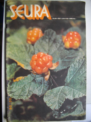 Seura Nro 40/1962