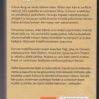 Mikael Bergstrand: Delhin kauneimmat kädet - pikkukuva 2