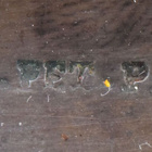 Lohilappu, Johan Peter Paulin, 6.6cm, 12.1g - pikkukuva 4