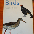 Valerie Thom : SCOTTISH BIRDS - collins bird books - pikkukuva 1