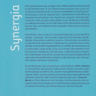Petri Lehtipuu: Synergia - pikkukuva 2