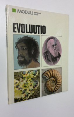 Irma (suom.) Rostedt : Evoluutio