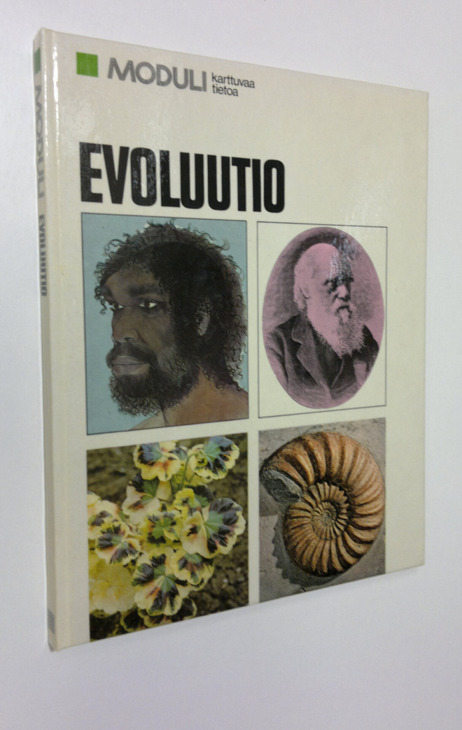Irma (suom.) Rostedt : Evoluutio