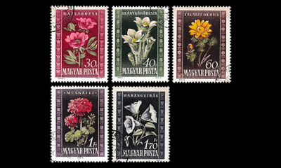 Unkari 1112-6 o Kukkia (1950)
