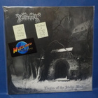 EVILFEAST - ELEGIES OF THE STELLAR WIND EX/EX+ GER 2017 2LP - pikkukuva 1