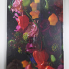 Interiors & in the City : Lisianthus (lukematon) - pikkukuva 2
