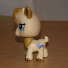 LITTLEST PET SHOP Special Edition VUOHI, KILI #1316 - pikkukuva 2