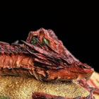 WETA HOBBIT SMAUG THE DRAGON- HEAD HUNTER STORE. - pikkukuva 2