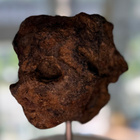 "Face from Another World" – Rare Meteorite Artifact ”Skull” - pikkukuva 5