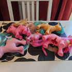 My Little Ponyja vanhempaa tuotantoa - pikkukuva 5