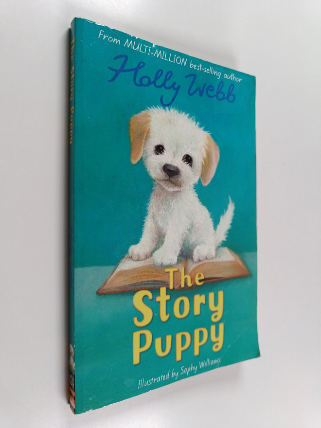 Holly Webb : The story puppy