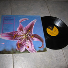 Rauno Lehtinen – A Taste Of Europe ( hyväk LP - pikkukuva 1
