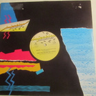 Gene And Jim Are Into Sampling: Shake ! 12" single House - pikkukuva 2