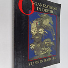 Organizations in depth : the psychoanalysis of organizations - pikkukuva 1