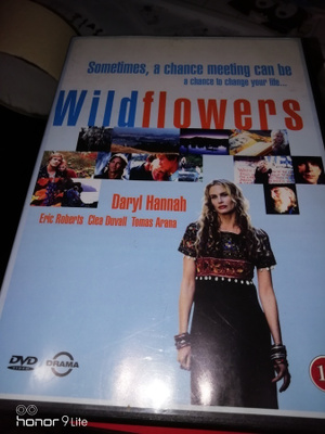 Wildflowers