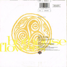 HOTHOUSE FLOWERS  ::  GIVE IT UP  ::  VINYYLI 7"      1990 - pikkukuva 2