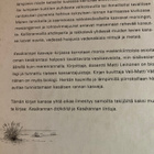 LEINONEN: KESÄRANNAN KASVEJA - pikkukuva 2