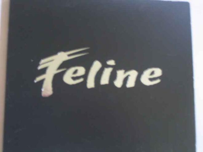 CDS FELINE-JUST AS YOU ARE