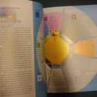Brown: PRACTICAL FENG SHUI SOLUTIONS (2001) Sis.postikulut - pikkukuva 3