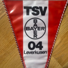 BAYER 04 LEVERKUSEN JOUKKUVIIRI (VUODESTA EI VARMUUTTA) - pikkukuva 2
