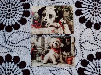 ~Koira kortti~ 2kpl