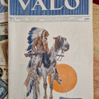 Valo tiedelehti 1925 ensimmäinen vuosikerta irtonumeroina - pikkukuva 5