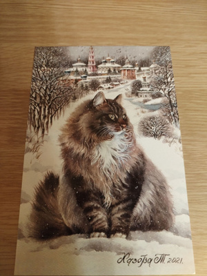 Kissa kortti,kulkematon.