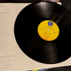 Ramones : LP Subterranean jungle (Saksa 1983) - pikkukuva 3