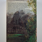 John Galsworthy : Forsytein taru 1 - pikkukuva 2