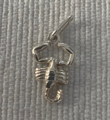 Hopeinen skorpioni riipus