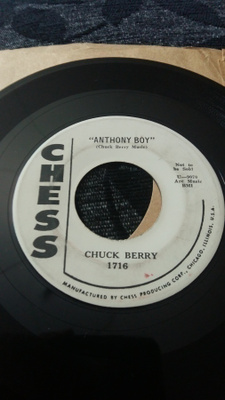 Chuck Berry sinkku