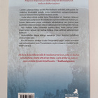 Jennie Lundgren : Kun jää murtuu - pikkukuva 2