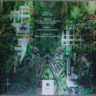 Warning - The Strength To Dream LP Green - pikkukuva 2