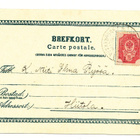 Tyttö ja sorsia - vanha Carte Postale - pikkukuva 2