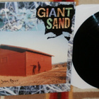 GIANT SAND ~ Long Stem Rant ~ LP - pikkukuva 1