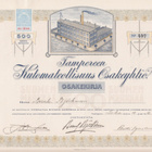 OKK 1916 Tampereen Kutomateollisuus Oy osakekirja - pikkukuva 1