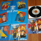 7" BLUE ZOO - Forgive and forget - single 1983 NM + juliste - pikkukuva 3