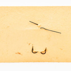 Karhu, Kuore Tasapaino, 5.5cm - pikkukuva 4