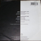 THE MOCK TURTLES :: CAN YOU DIG IT ? :: VINYYLI  7"    1991 - pikkukuva 2