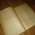 Venäjänkielen oppikirja 1 - vuodelta 1916 - pikkukuva 3