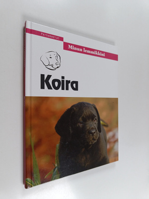 Koira