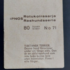 IPNOS Rotukoirasarja # 71 Tiibetinterrieri - pikkukuva 2