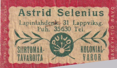 Astrid Selenius, Lapinlahdenk. 31 , Puijo  b588