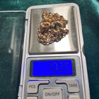 Kaulaketju, papu 14K/585, paino 10,25 g - pikkukuva 5