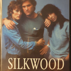 Silkwood DVD (Meryl Streep, Kurt Russell, Cher) - pikkukuva 1
