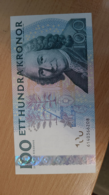 Ruotsi 100 kr