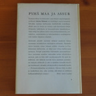 Armas Salonen:Pyhä maa ja Assur.Sid. - pikkukuva 2