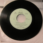 Esa Lehtinen 7" 1984 Maailman Onnellisin Mies / Vastatuuleen - pikkukuva 2