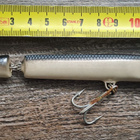 Rapala sliver! - pikkukuva 2