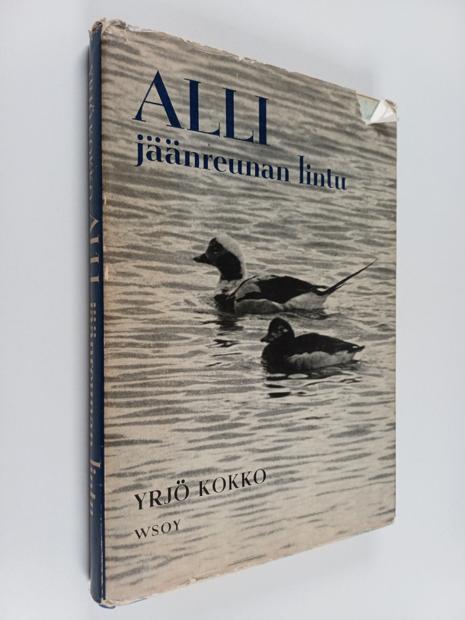 Yrjö Kokko : Alli - jäänreunan lintu